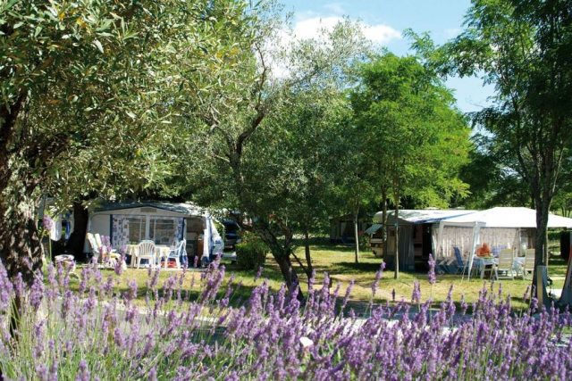 Sites et Paysages Camping le Petit Bois