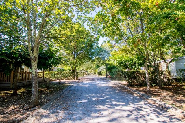 Camping Domaine du Cros d\'Auzon
