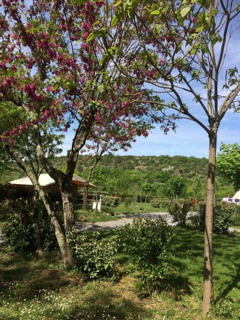 Camping du Pont