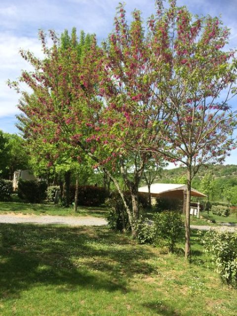 Camping du Pont