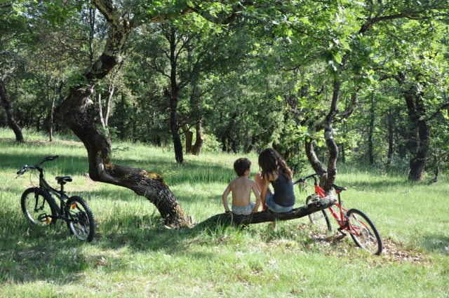 Camping l\'Ombrage