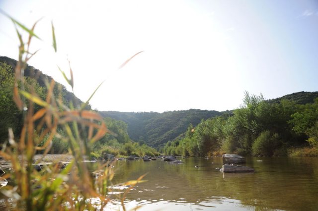 Camping la Bohème